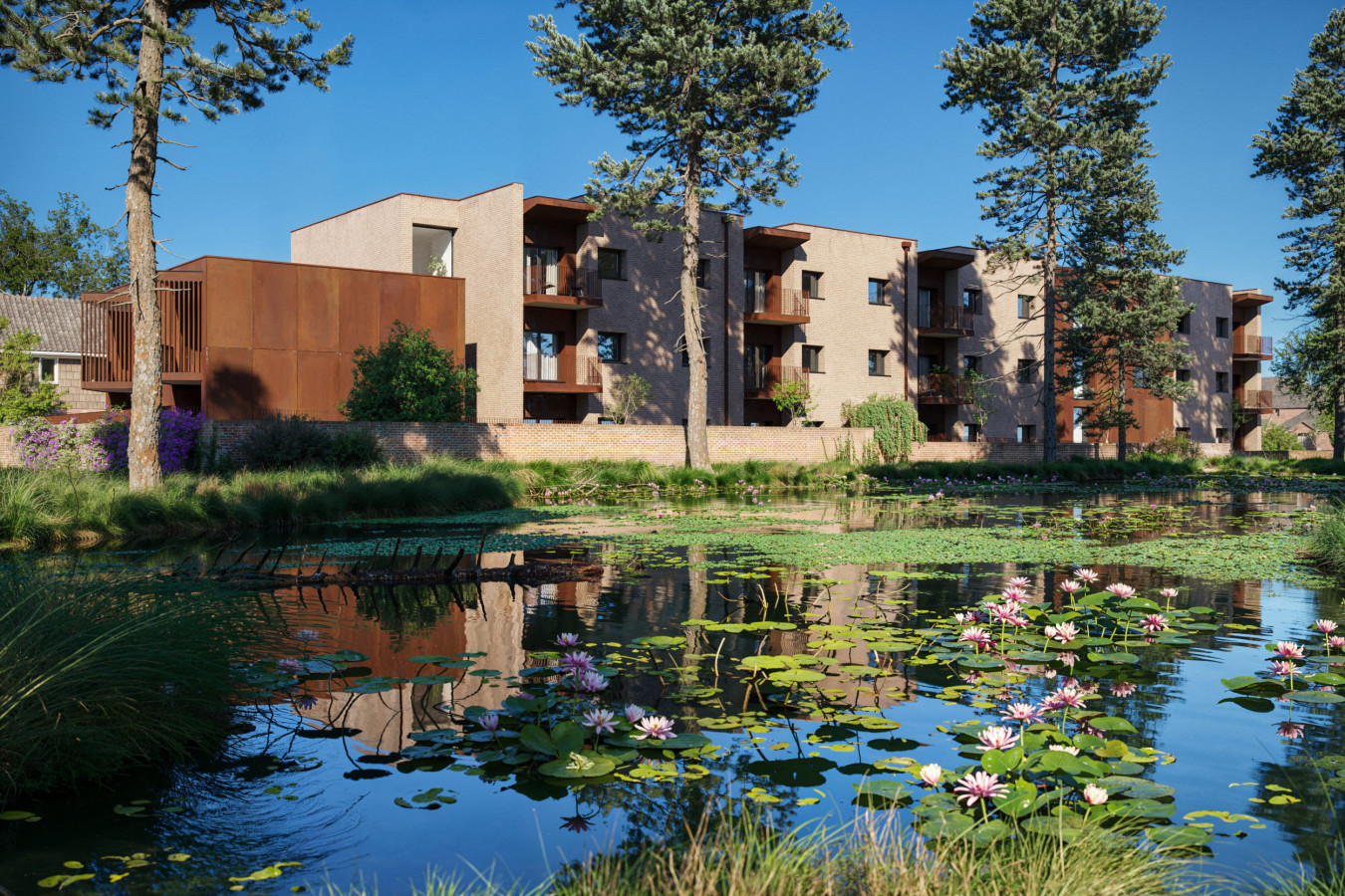 Harrison - New Sheltered Accommodation